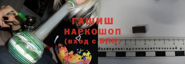 твердый Гусев