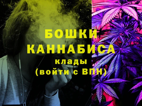 твердый Гусев