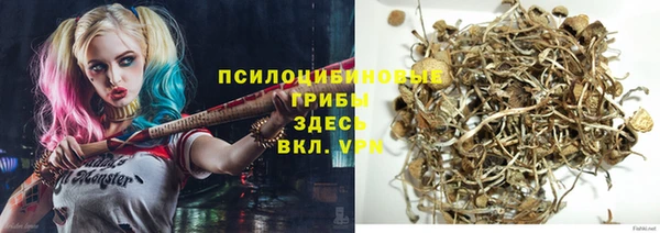 бошки Дмитровск