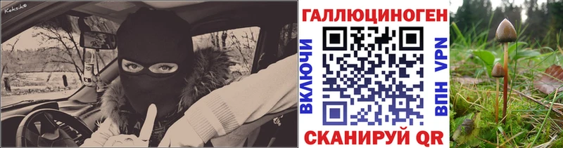 Псилоцибиновые грибы GOLDEN TEACHER  Жуковка 